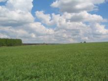 ����� - ���������: ��� ������� �������